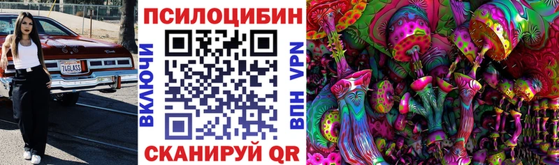 площадка какой сайт  OMG зеркало  Качканар  Псилоцибиновые грибы Psilocybine cubensis 